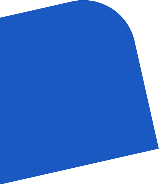 banner bg vector